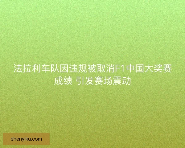 法拉利车队因违规被取消F1中国大奖赛成绩 引发赛场震动