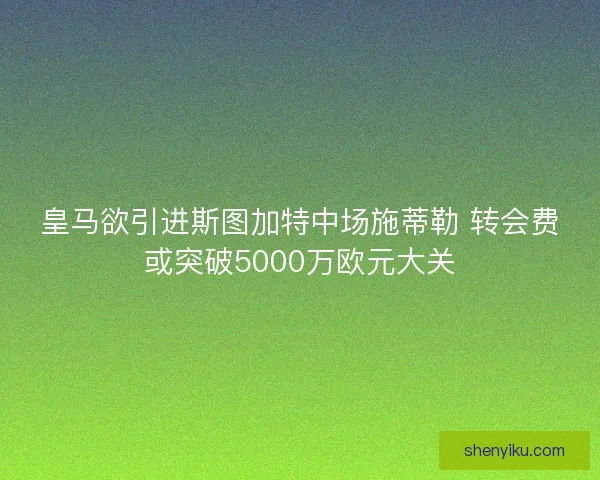 皇马欲引进斯图加特中场施蒂勒 转会费或突破5000万欧元大关
