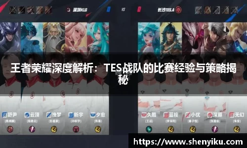 王者荣耀深度解析：TES战队的比赛经验与策略揭秘