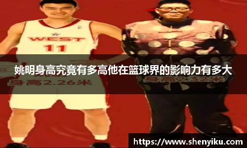 姚明身高究竟有多高他在篮球界的影响力有多大