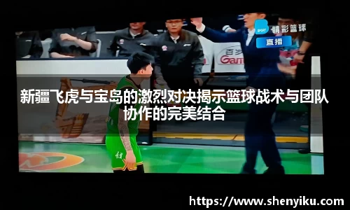 新疆飞虎与宝岛的激烈对决揭示篮球战术与团队协作的完美结合